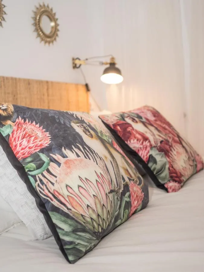 Apartamento Micaela Cádiz